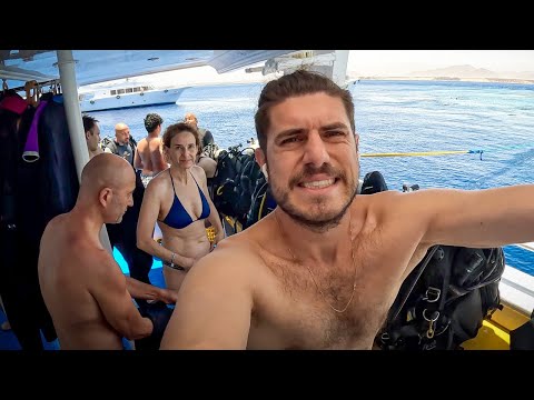 Kızıldeniz'de Tüplü Dalış Deneyimi | Şarm El Şeyh, Mısır - 271