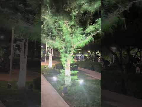 #vietnam #nhatrang #vlog Zamanı yavaşlatma, bükme denemeleri 😎