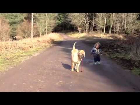 Bazen Çocuk Olmak İster İnsan