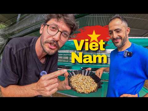 Vietnam'da Kahve İşi Yapan Türk’ün Şaşırtan Yaşamı | 🇻🇳 491