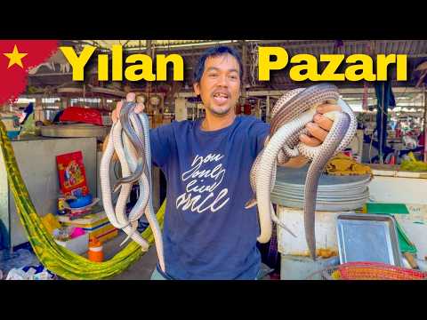 Vietnam’ın "Hijyenik" Pazarlarında Bakın Neler Satıyorlar | 🇻🇳 490