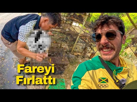 Vietnam Köylerinde Yediklerine Bakın | 🇻🇳 489