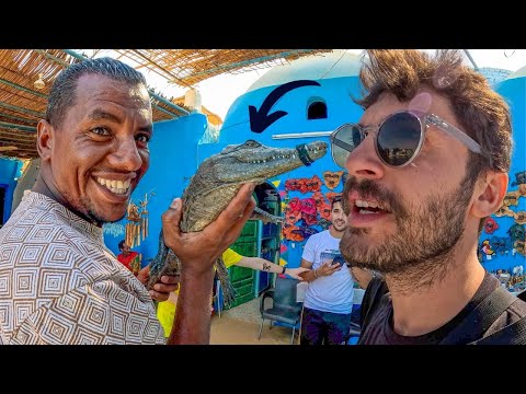 Evde Timsah Besleyen Nübye Halkı Bakın Nerede Yaşıyor | 🇪🇬 448