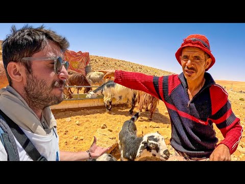 Çöldeki Bedevi Çadırına Çağırdı! Yaşadığı Yere Kahrolacaksınız #375