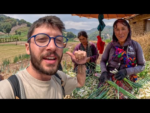 Günlük 5 Dolar Kazanana Guatemala Köylülerini Ziyaret Ettim #258