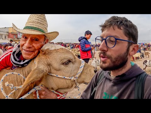 Orta Amerika'nın En Büyük Yerel Pazarındayım: San Francisco El Alto #257