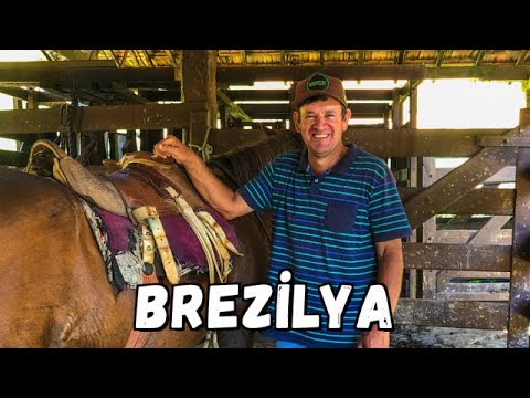 80 KÖLE BURADA UYUYORDU! Sürpriz çiftlik deneyimi ve doğa harikası bir yer: Queluz! #105