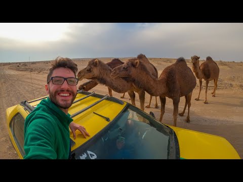 İran'da Başımıza Gelene Bakın! Yolumuzu Develer Kesti ve Bizi Kovaladı #15