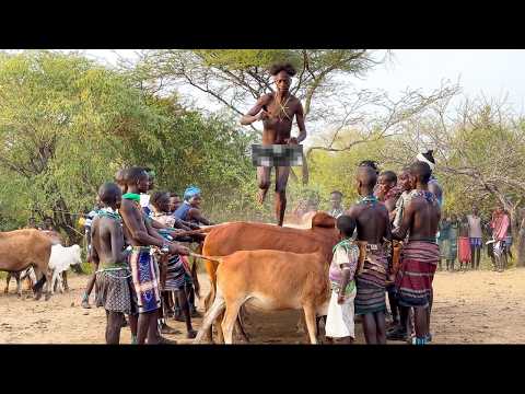 Etiyopya Kabilesinde Erkekliğe Geçiş ! Afrika Belgeseli - 415 🇪🇹