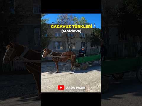 Bu Ülkede Herkes Türkçe Konuşuyor !!