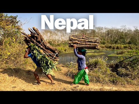 Nepal Vahşi Köy Hayatı | Chitwan  -232🇳🇵