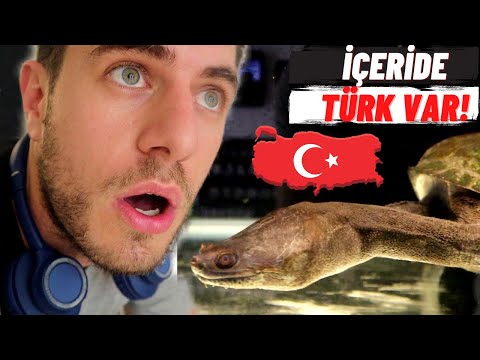 Tayvan'da Gözlerime İnanamadım!( İçeride Birde Türk Var)-80