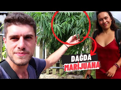 DAĞDA MARİJUANA BULDUK! Zirvede Hayrete Düşüren Yaşam Vietnam-46