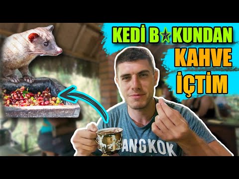 BALİ'DE BOK'DAN 1 GÜN GEÇİRMEK( Pirinç tarlaları,  Luwak kahvesi ) -37