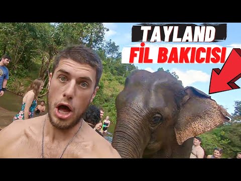 Tayland'da Filler İle Fantastik 1 Gün Geçirmek( Fil Bakıcı Oldum)-9