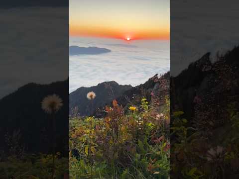 Karadeniz turu neden yapılmalı? 🙂