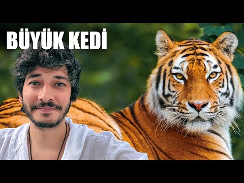 KAPLAN SEVDİM PHUKET ŞEHİR TURU - 5. Bölüm