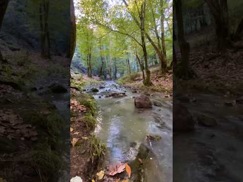 Horlayan arkadaşlara son :)  #shots #shortvideo horlama tedavisi horlamaya çözüm