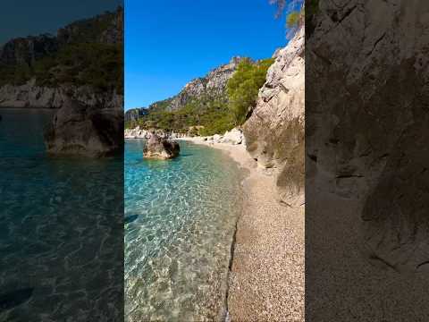 Survivor Türkiye Kampı - Video kanalımda yayında !