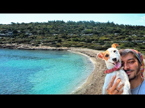 İZMİR ÇAKAL KOYU  | Yol tarifi