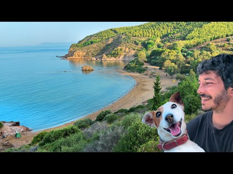 İZMİR PANAMA KOYU | Köpeğimle ilk kamp