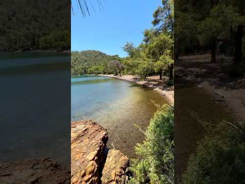 AVATAR KOYU | Özel keşif