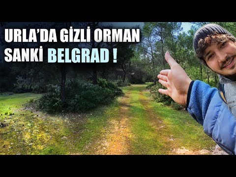 İZMİR URLA'DA YEMYEŞİL | Trekking Ormanı - Otobüs bile geliyor - Kamp yapılır mı?