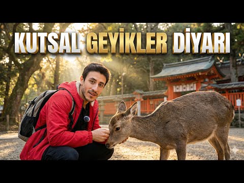 JAPONYA’nın BAŞDÖNDÜREN KUTSAL ŞEHRİNE GELDİM! GÖRDÜĞÜM EN HUZURLU ŞEHİR! 