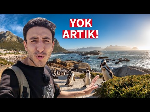 YERYÜZÜNDEKİ CENNET! CAPE TOWN DOĞASINA AŞIK OLACAKSINIZ! AFRİKA PENGUENLERİ ve ÜMİT BURNU!