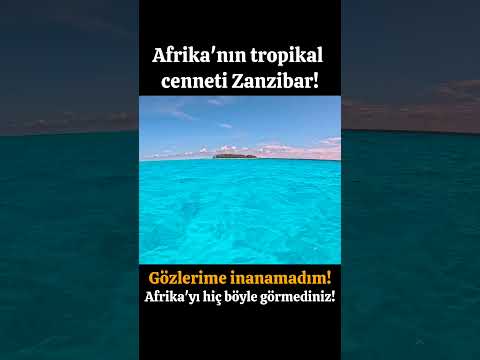 GÖZLERİME İNANAMADIM! AFRİKA'YI HİÇ BÖYLE GÖRMEDİNİZ! TROPİKAL CENNET ZANZİBAR!