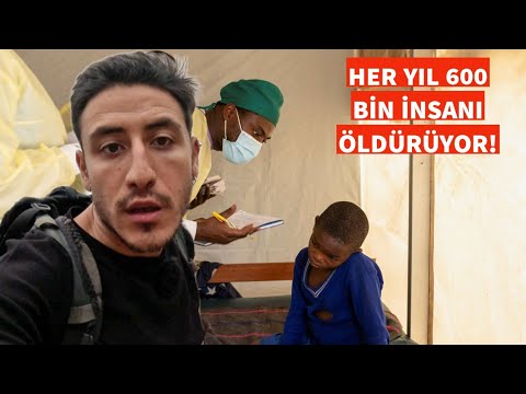 AFRİKA'DA SITMA OLDUM! HER YIL 600 BİN İNSANI ÖLDÜRÜYOR!