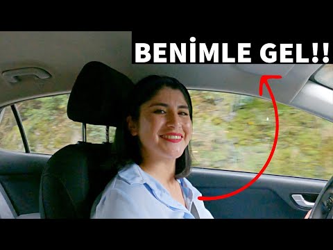 ARABASINA ALAN KADIN POLİS ÇIKTI!! ŞİLİ'DE VAHŞİ ORMANA OTOSTOP!