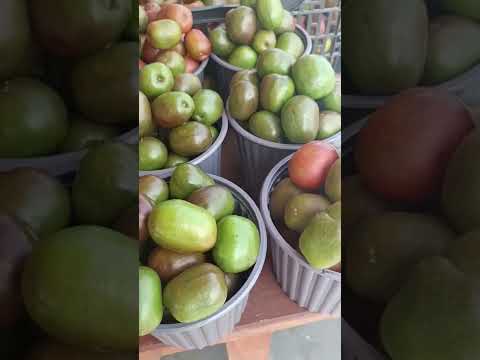 EKVADOR MÜTHİŞ SOKAK LEZZETLERİ😋