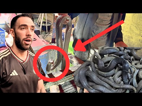 CANLI YILAN PAZARI - Sokakta Kesip Yiyorlar!