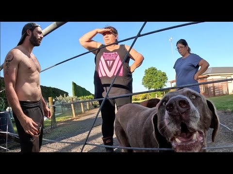 YENİ ZELANDALI KADIN Çok Ucuza 'YEŞİL ALTIN' Satıyor 🇳🇿