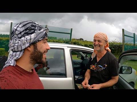 'BU İŞİ YAPARAK SAATTE 100 DOLAR Kazanabilirsin!' - YENİ ZELANDA 🇳🇿