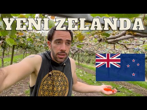 'BU ÜLKE DELİ GİBİ İŞÇİ ARIYOR!' - YENİ ZELANDA 🇳🇿