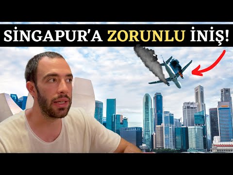 YENİ ZELANDA UÇAĞIM Havada ARIZALANDI! - BAKIN NE YAPTILAR!