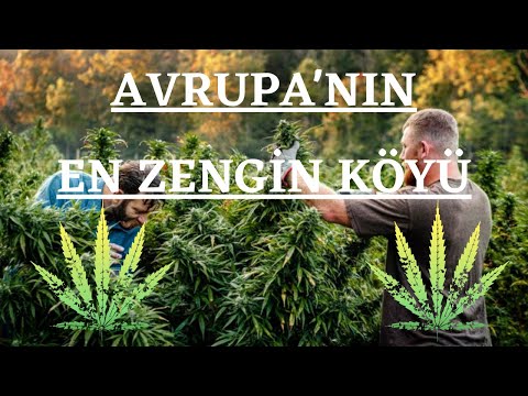 AVRUPANIN UYUŞTURUCU BAŞKENTİ - LAZARAT Köyü / Arnavutluk