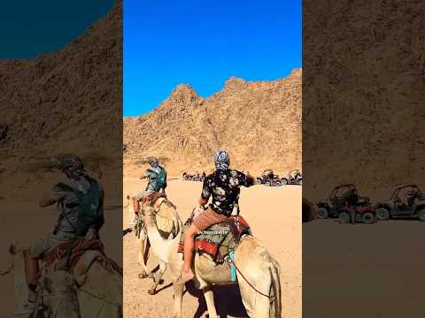 EV HASTALIKTIR ! SEN DÜNYAYA GÖNDERİLDİN UNUTMA !