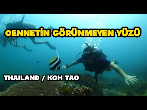 Tayland'da 18 Metreye Daldım !  🇹🇭 📍Koh Tao #reklam