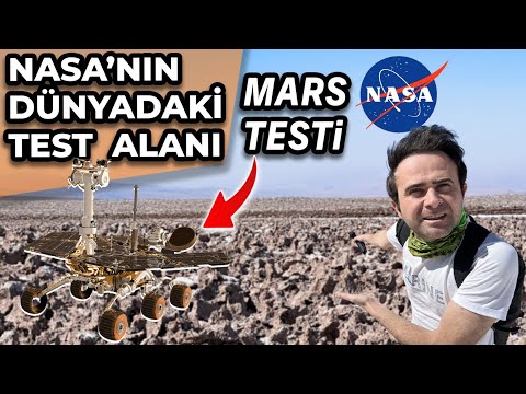 Buraya Neden 400 Yıl Yağmur Yağmamış ? Atacama'da Toprak ve Canlılar Çatlamış !!!