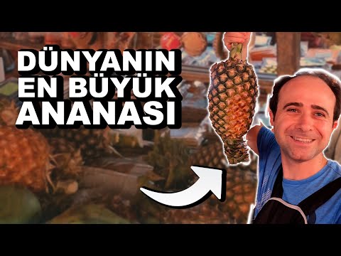 Bu Meyveleri Hayatımda İlk Defa Yedim (Köpek Balığı, Afrika Elması)