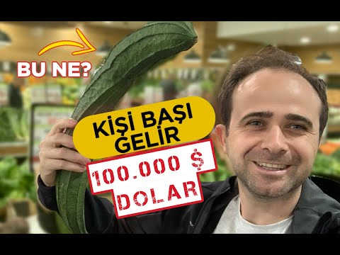 Burada Yaşamak İster Miydiniz ? Kişi Başı Gelir 100.000 Dolar  (Fiyatlar Gerçek Olamaz ???)