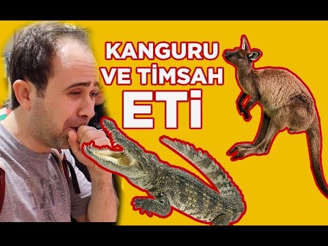 Kanguru ve Timsah Eti Satılan Pazar | Avustralya