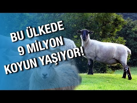 Yılda 300 Gün Yağmur Yağan Ülke | Galler