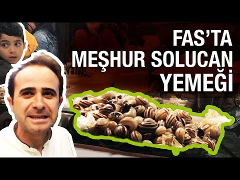 Salyangoz Yiyorlar! | Fas