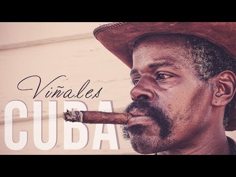 Dünyanın En İyi Puroları | Küba - Viñales