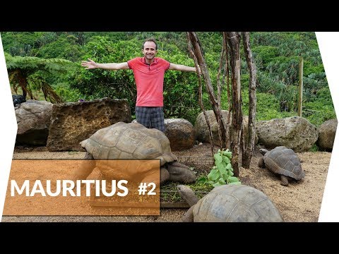 Dünya'nın En Uzun 3. Zipline'ında Macera | Mauritius