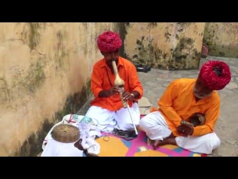 Kobra Oynatıcıları-Jaipur-Hndistan
